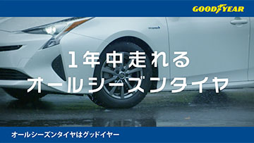 1年中走れるVector 4Seasons HybridのGOODポイント